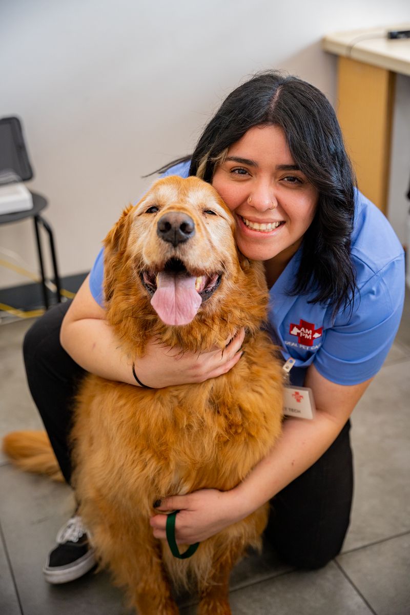 Complete Blood Test Price In Pakistan